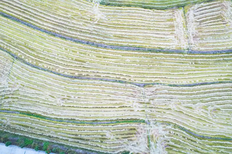上海淳未环保：工业除尘器与废气治理设备的协同设计要点正文配图 1
